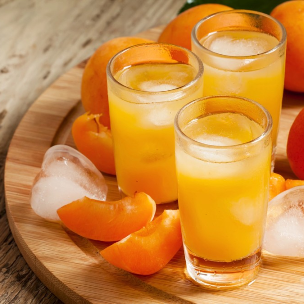 Säfte Gastro 0,2 L